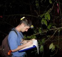 Jesse, Smithsonian Tropical Research Institute 