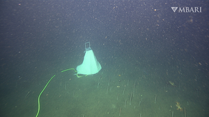 Directional hydrophone installed on MBARI's cabled ocean observatory