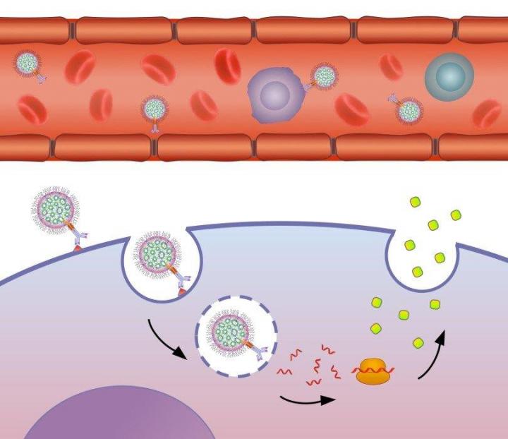 Mechanism Schematic