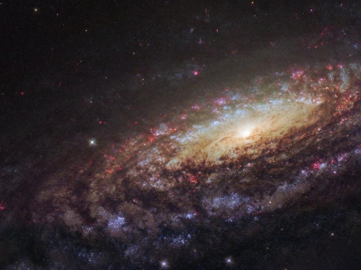 Hubble's Majestic Spiral in Pegasus