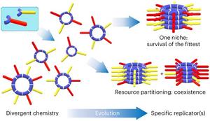 Darwinian principles in a chemical system