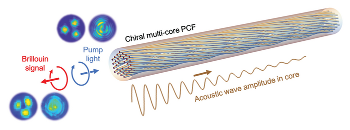 Visualization of topology-selective Brillouin scattering