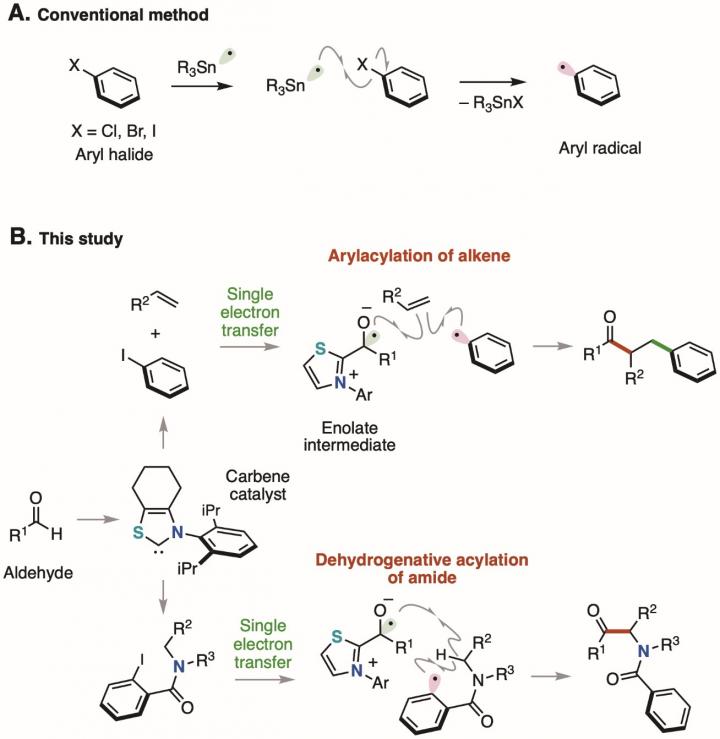 aryl halide