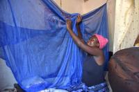 Woman Hanging a Mosquito Net