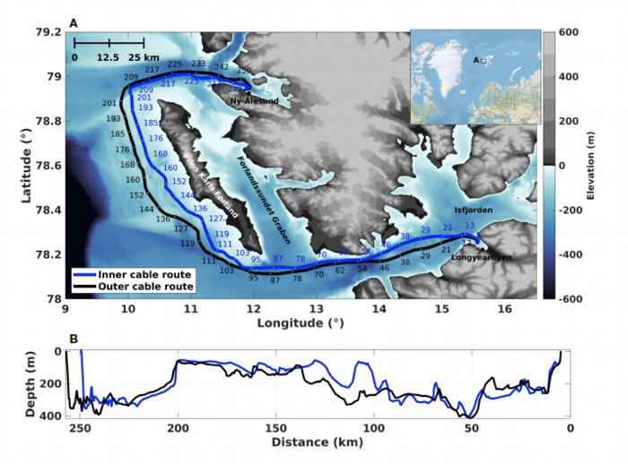 Eight whales, five hours