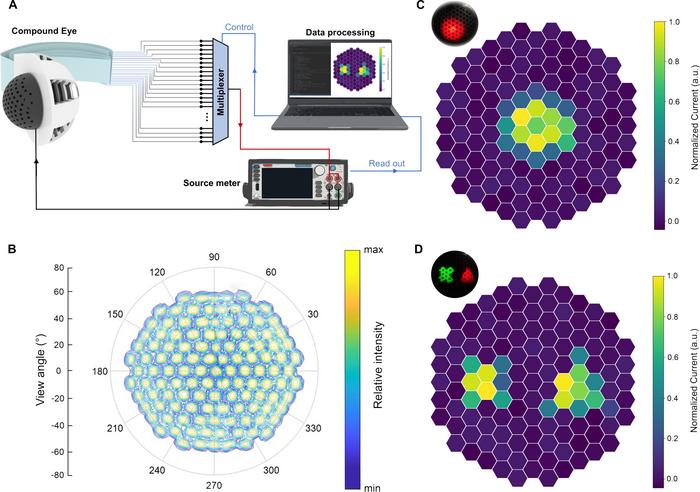 Imaging capability of the pinhole compound eye camera.