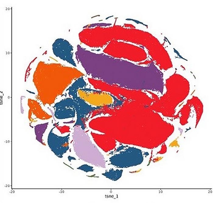 tSNE Visualization of Single-Nucleus RNA Sequencing in PTSD, MDD, and NCs in the dlPFC