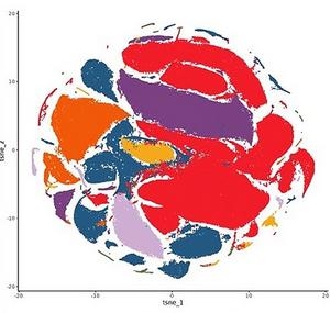 tSNE Visualization of Single-Nucleus RNA Sequencing in PTSD, MDD, and NCs in the dlPFC