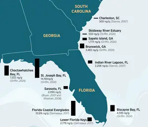 Graphic showing mercury levels in Southeast