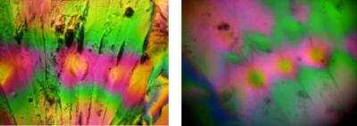 Smartphone vs. Traditional Microscope: Polarized Light