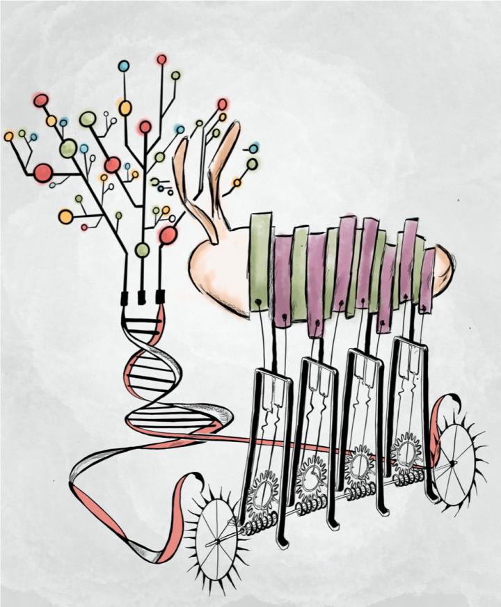 Gene Regulatory Machinery (Artistic Depiction)