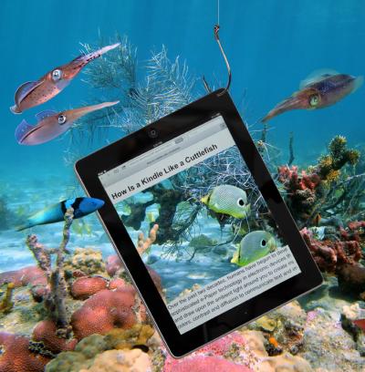 Photo Illustration of a Kindle in a Marine Environment