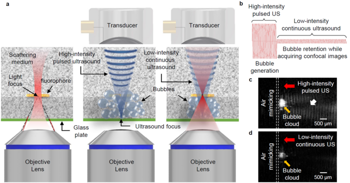 photo.  Conceptual diagram of development technology