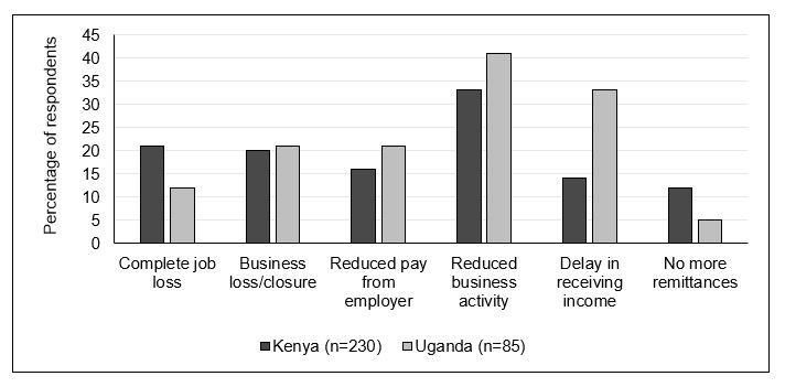 Effects of COVID-19 on Income-Generating Activities