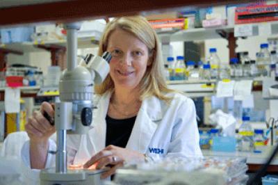 Associate Professor Clare Scott, Walter and Eliza Hall Institute