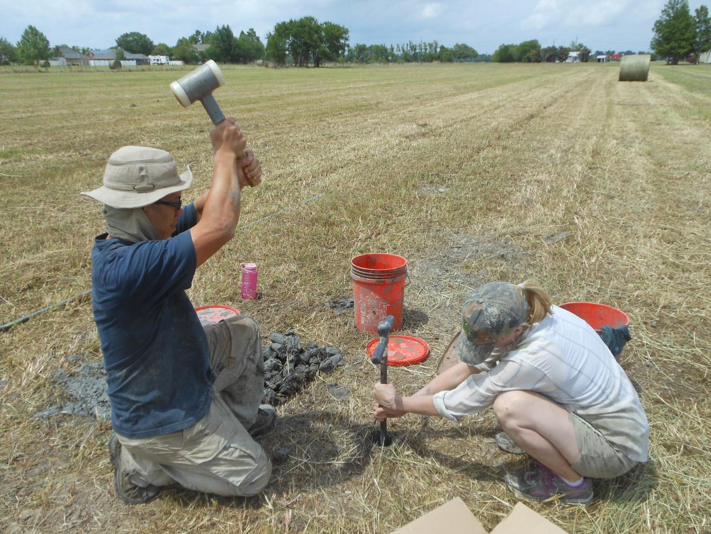 Recent Land Loss in Mississippi Delta Vastly Exceeds Prehistoric Land Gain