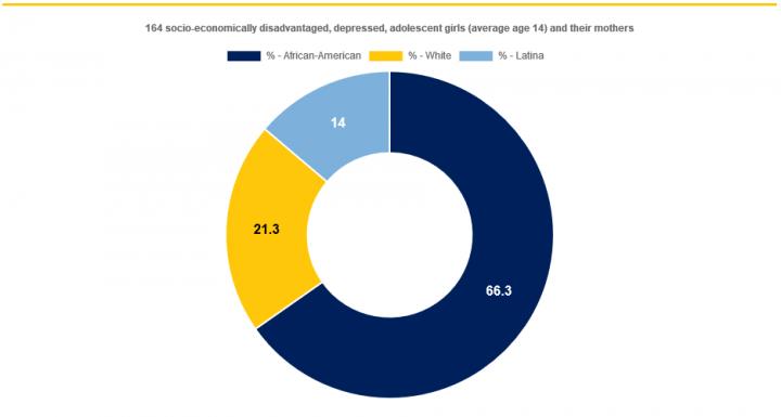 Ethnic/racial Identification of Study Participants