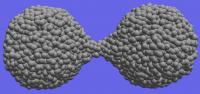Nanomaterials Show Unexpected Strength Under Stress (2 of 2)