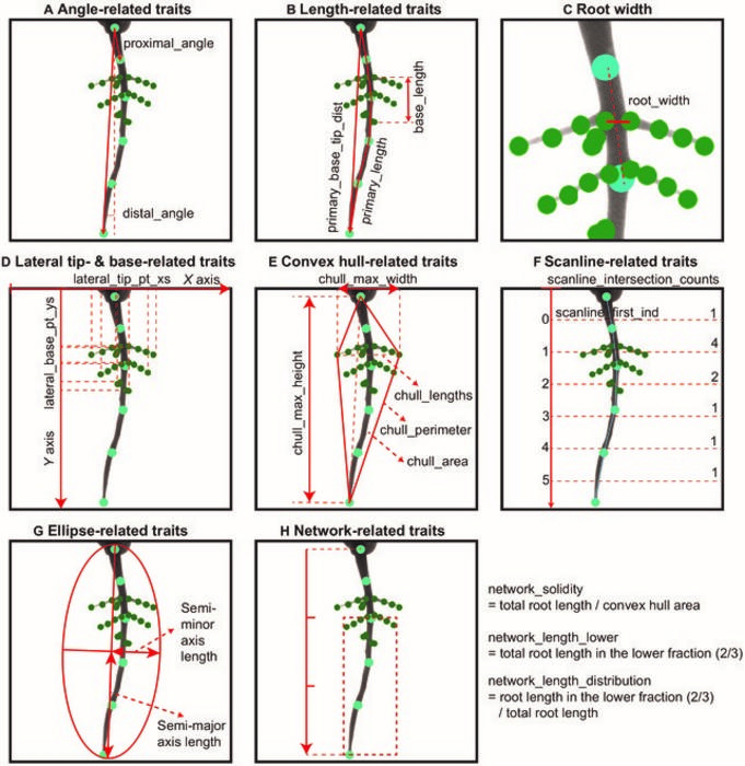 Fig.4