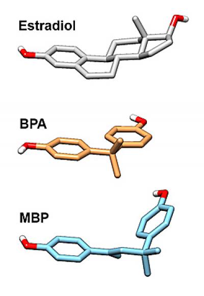 BPA Graphic