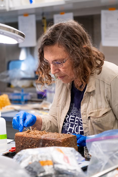 Dr. Levin in the wet lab aboard R/V Falkor