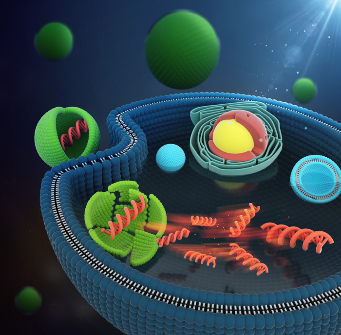 DNA being delivered into the nucleus of a stem cell