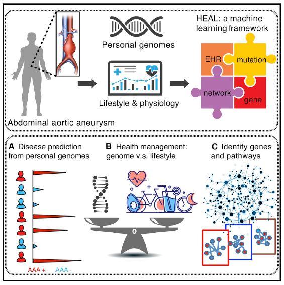 HEAL Graphical Abstract