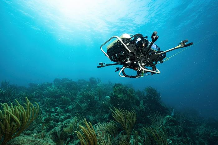 CUREE, an autonomous underwater robot, is used by the researchers to collect acoustic data for analysis