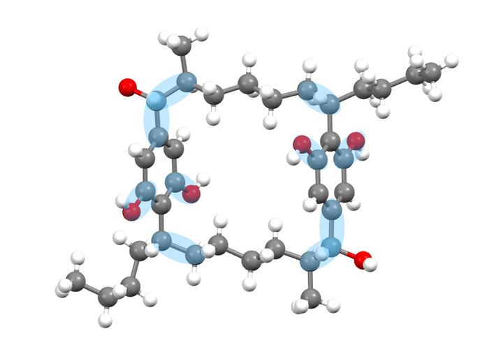 Breaking Carbon–Hydrogen Bonds to Make Complex Molecules