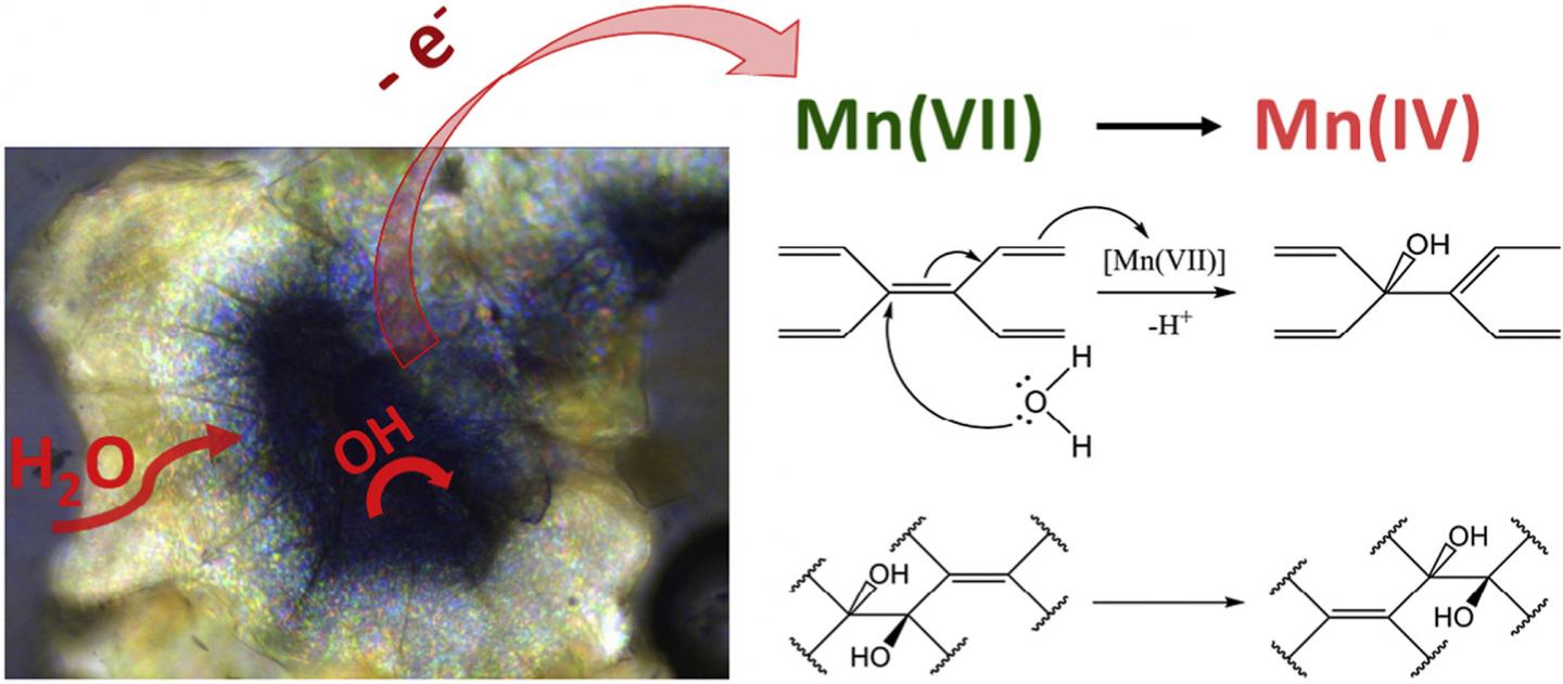 mysterious-mechanism-of-graphene-oxide-format-eurekalert