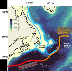 Map of the circulation