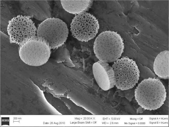 Porous Silicon Microparticles