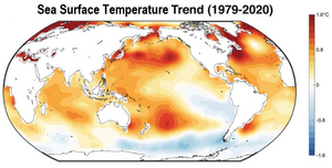 Ocean Temperature Trends