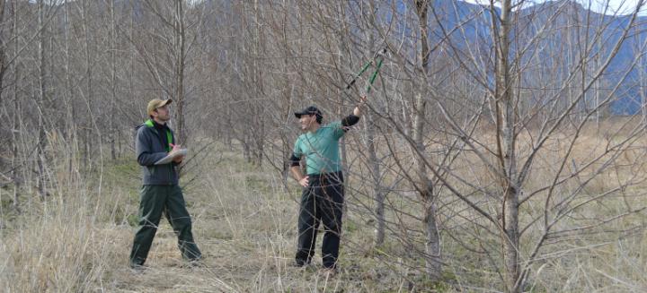 Nicolas Feau and Richard Hamelin, University of British Columbia