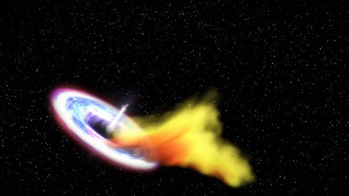 A Star Is Torn Apart By A Black Hole