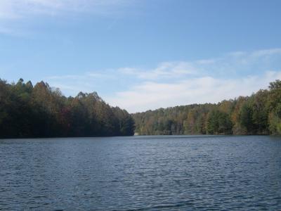 Downing Lake, Indiana