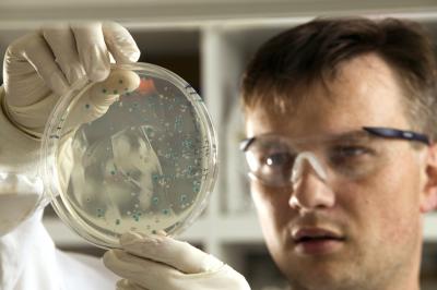 Bioremediation to Keep Atrazine from Waterways