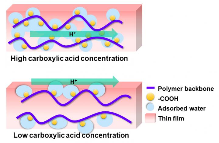 Figure 1. Proton Transport Pathway