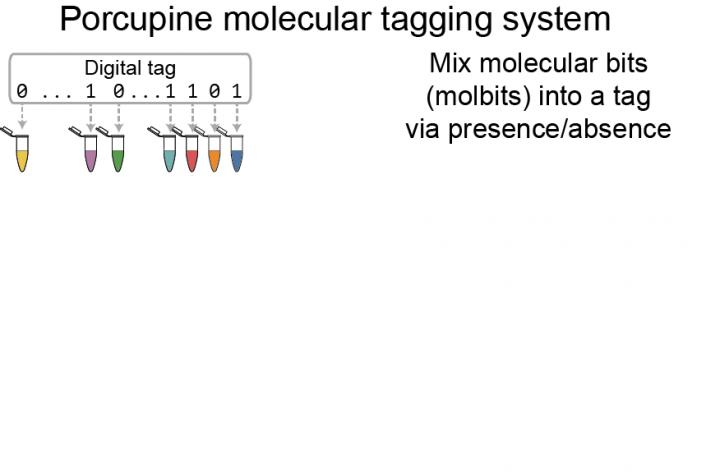 Porcupine: a DNA-based molecular tagging system that could take the place of printed barcodes