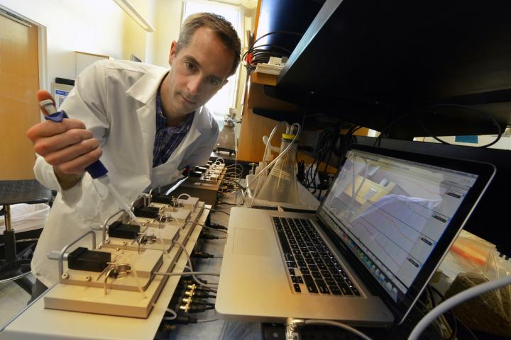 Belin de Chantemele, Georgia Regents University