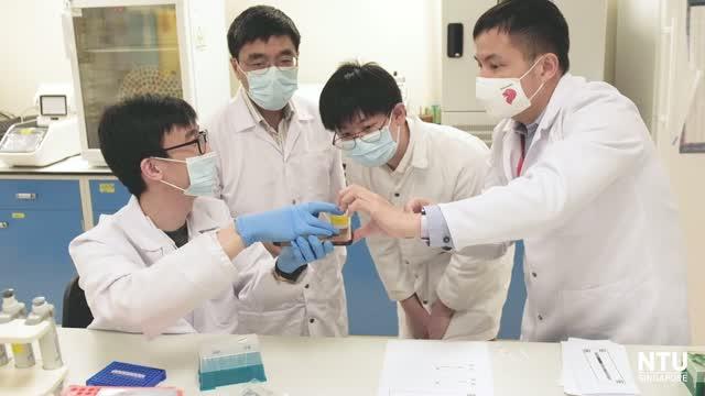 Scientists led by NTU Singapore develop test that detects COVID-19 even when it mutates