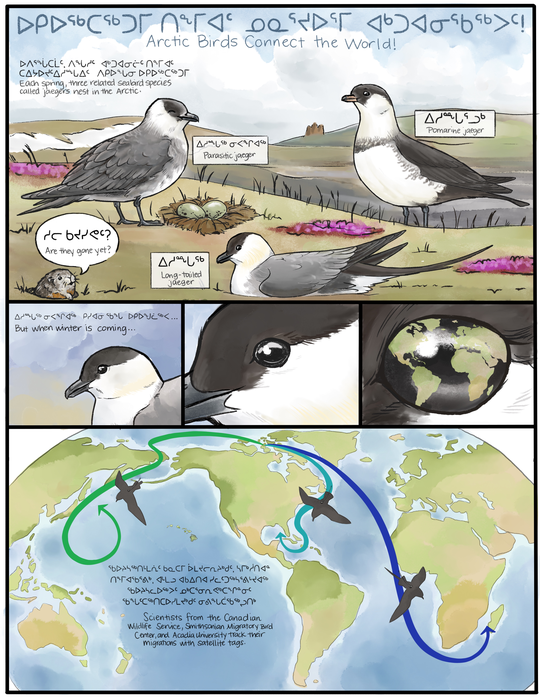 Arctic Birds Connect the World Comic (Page 1)