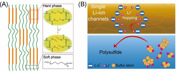 Stabilizing Sulfur Cathode by Single Li-Ion Channel Polymer Binder