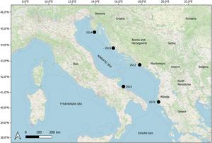 Adriatic records of Lagocephalus sceleratus.