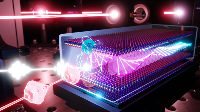 Scientists see spins in a 2D magnet | EurekAlert!