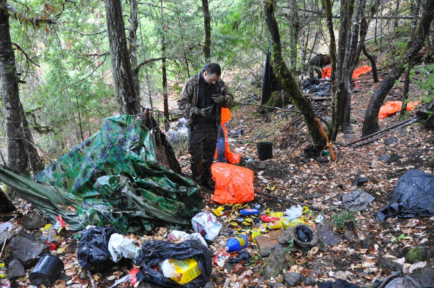 Rodenticides at Marijuana Grow Site