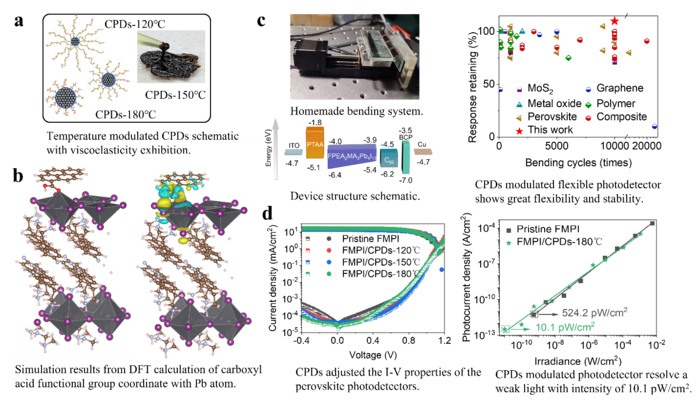 Modulation principle of the CPDs in perovskite-based photodetectors.