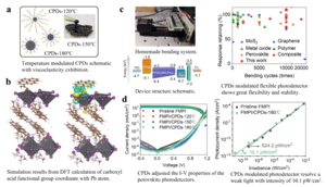 Modulation principle of the CPDs in perovskite-based photodetectors.