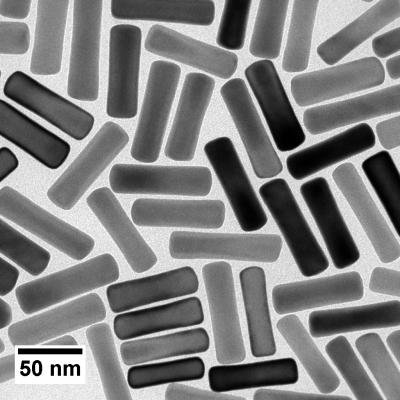 Nanorod Image