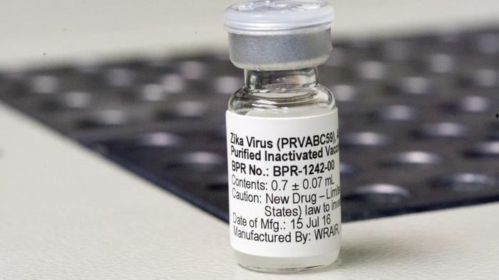 Zika virus vaccine candidate